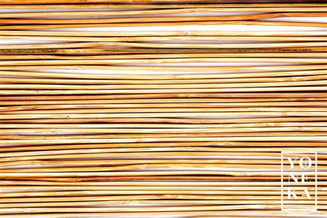 Hasır Bamboo Yoneka: Doğal ve Şık Bambu Ürünleri